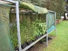 wceetoct07amisfield_1.jpg