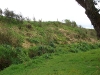 wceetoct07hhtokoroa_3.jpg