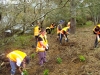 waikato-rivercare-hak-a-extn